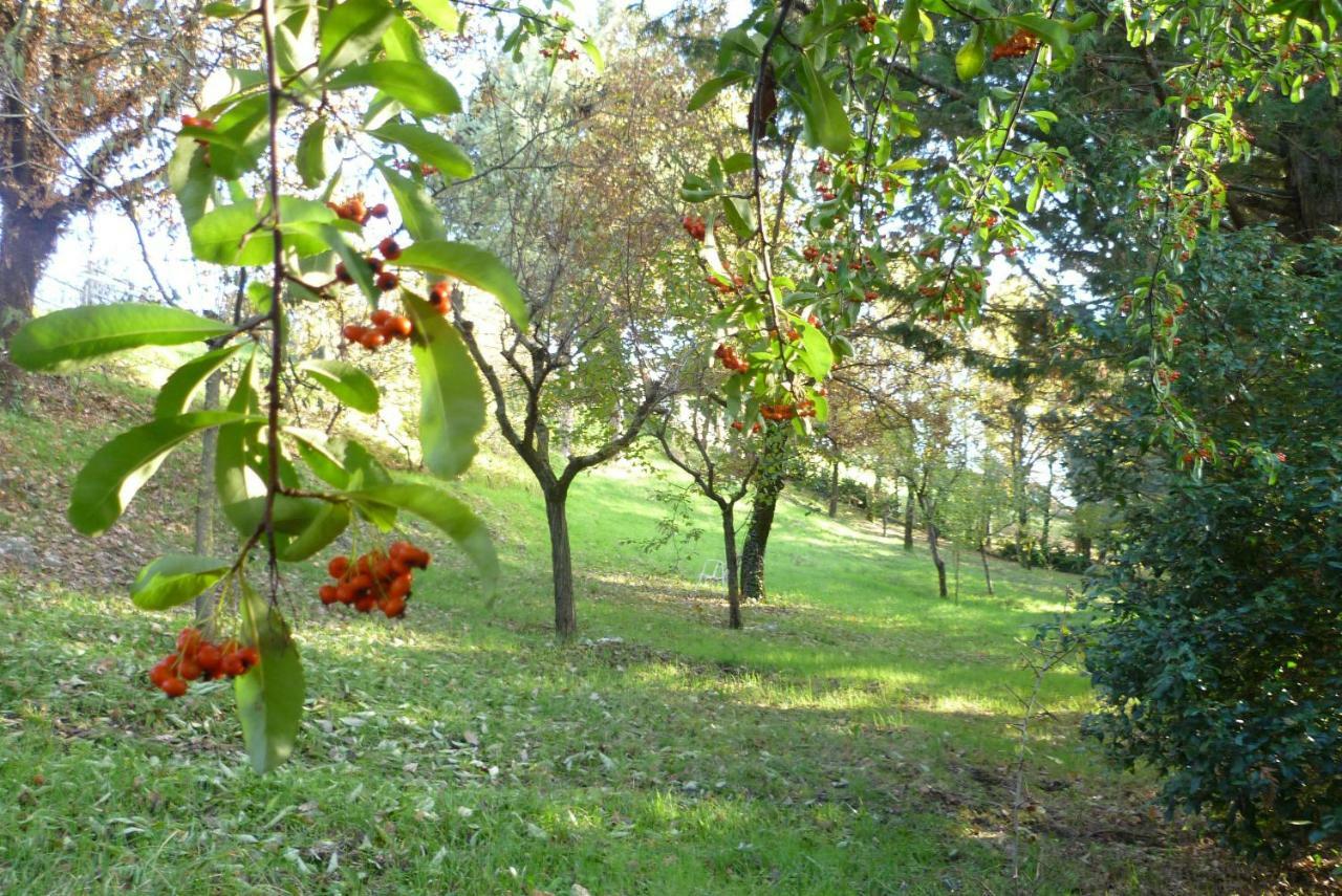 B&B Colle Di Terria Country House Contigliano Exterior photo
